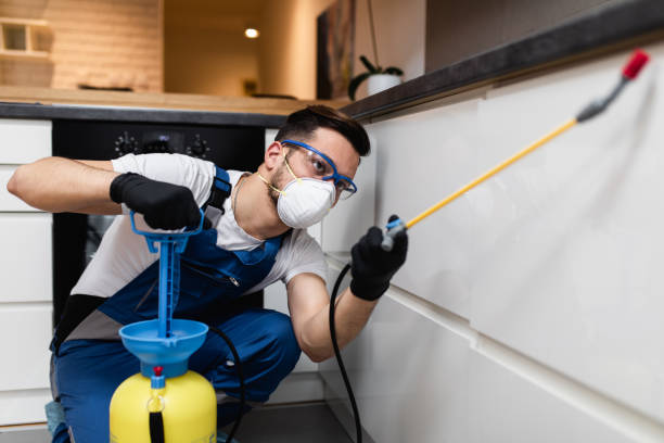 Best Wasp Removal Services  in South Bound Brook, NJ