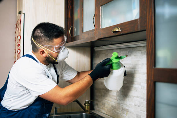 Best Best Pest Control Companies  in South Bound Brook, NJ