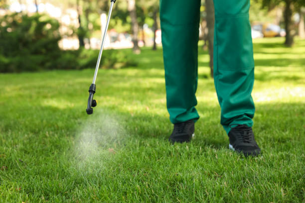 Best Affordable Pest Control Services  in South Bound Brook, NJ