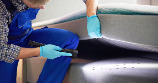 Best Pest Control Near Me in South Bound Brook, NJ