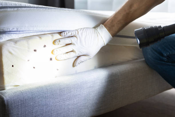 Best Wildlife Control Services  in South Bound Brook, NJ