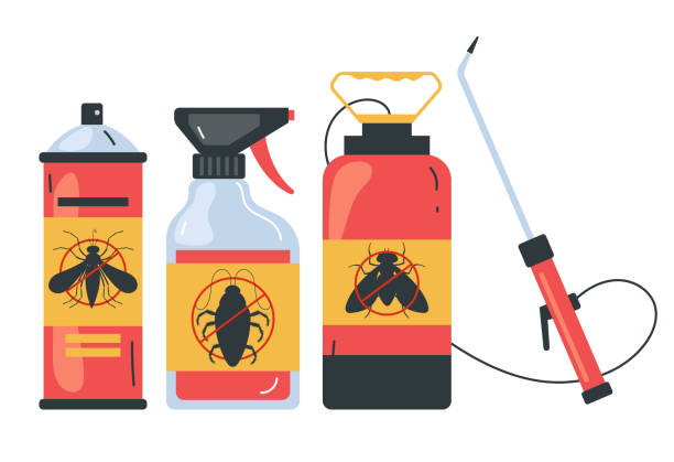 Best Pest Inspection Near Me  in South Bound Brook, NJ