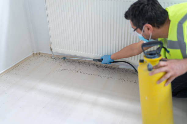 Best Mosquito Control Services  in South Bound Brook, NJ